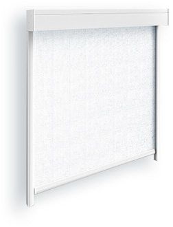 Screen 120